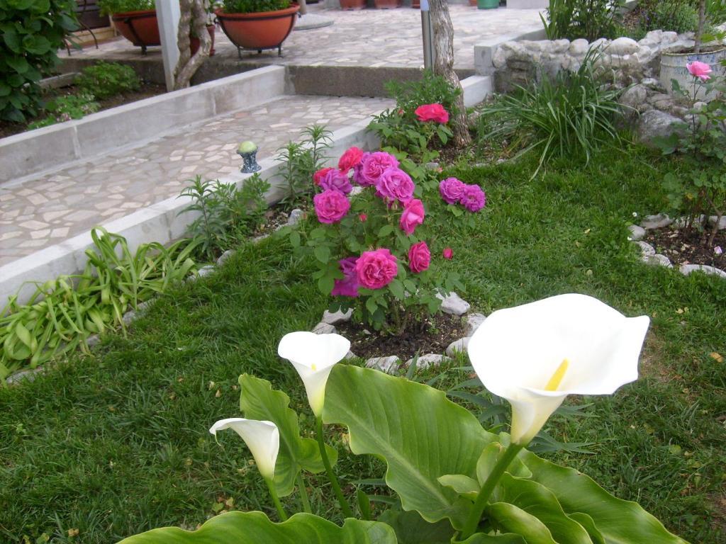 Apartments Bovan تْشيرسيك نوفي المظهر الخارجي الصورة